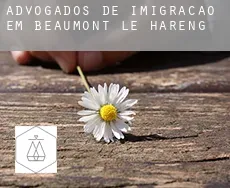 Advogados de imigração em  Beaumont-le-Hareng