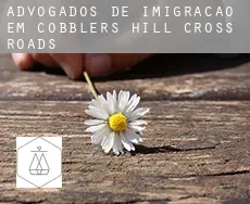 Advogados de imigração em  Cobbler’s Hill Cross Roads