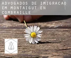 Advogados de imigração em  Montaigut-en-Combraille