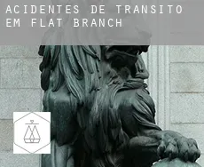 Acidentes de trânsito em  Flat Branch
