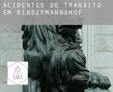 Acidentes de trânsito em  Rindermannshof