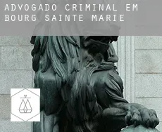 Advogado criminal em  Bourg-Sainte-Marie