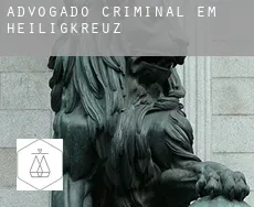 Advogado criminal em  Heiligkreuz