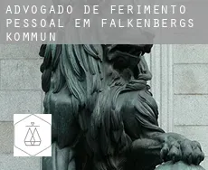 Advogado de ferimento pessoal em  Falkenbergs Kommun