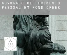 Advogado de ferimento pessoal em  Pond Creek