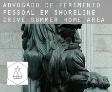 Advogado de ferimento pessoal em  Shoreline Drive Summer Home Area