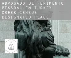 Advogado de ferimento pessoal em  Turkey Creek