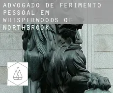 Advogado de ferimento pessoal em  Whisperwoods of Northbrook