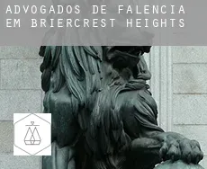 Advogados de falência em  Briercrest Heights