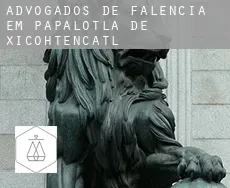 Advogados de falência em  Papalotla de Xicohtencatl