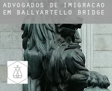Advogados de imigração em  Ballyartello Bridge