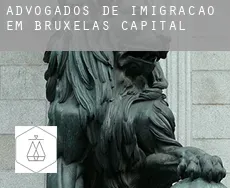 Advogados de imigração em  Bruxelas-Capital
