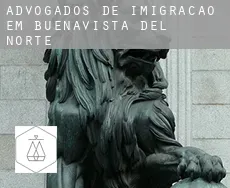Advogados de imigração em  Buenavista del Norte