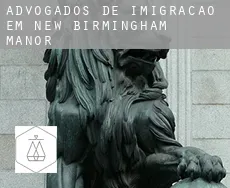 Advogados de imigração em  New Birmingham Manor