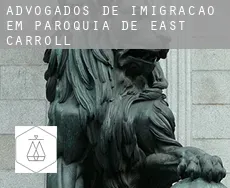 Advogados de imigração em  Paróquia de East Carroll