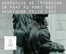 Advogados de imigração em  Port au Port West-Aguathuna-Felix Cove