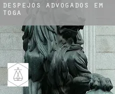 Despejos advogados em  Toga