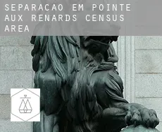 Separação em  Pointe-aux-Renards (census area)