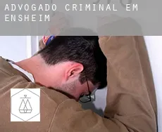 Advogado criminal em  Ensheim