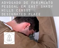Advogado de ferimento pessoal em  East Shady Hills