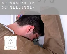 Separação em  Schnellingen