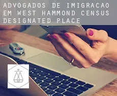 Advogados de imigração em  West Hammond