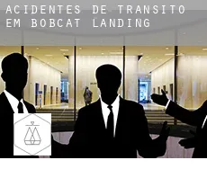 Acidentes de trânsito em  Bobcat Landing