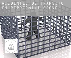 Acidentes de trânsito em  Peppermint Grove