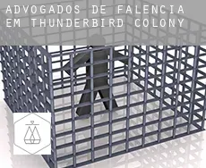 Advogados de falência em  Thunderbird Colony