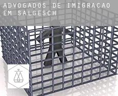 Advogados de imigração em  Salgesch