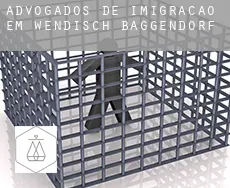 Advogados de imigração em  Wendisch Baggendorf