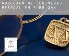 Advogado de ferimento pessoal em  Burr Oak