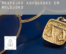 Despejos advogados em  Moldjord