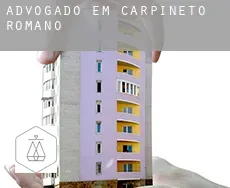 Advogado em  Carpineto Romano