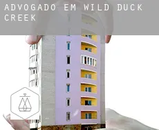Advogado em  Wild Duck Creek