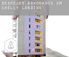 Despejos advogados em  Chelly Landing