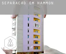 Separação em  Hammon
