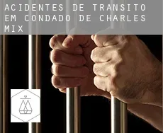Acidentes de trânsito em Condado de Charles Mix