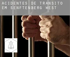 Acidentes de trânsito em  Senftenberg-West
