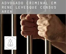 Advogado criminal em  René-Lévesque (census area)