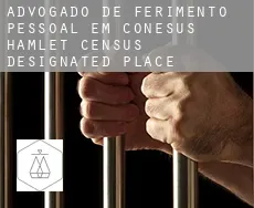 Advogado de ferimento pessoal em  Conesus Hamlet