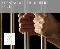 Separação em  Spring Hill