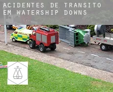 Acidentes de trânsito em Watership Downs