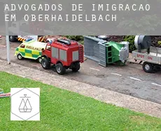 Advogados de imigração em  Oberhaidelbach