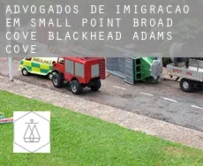 Advogados de imigração em  Small Point-Broad Cove-Blackhead-Adams Cove
