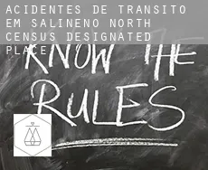 Acidentes de trânsito em  Salineno North