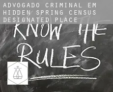 Advogado criminal em  Hidden Spring