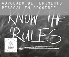 Advogado de ferimento pessoal em  Cocodrie