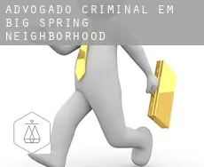 Advogado criminal em  Big Spring Neighborhood
