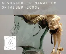 Advogado criminal em  Ortwiger Loose